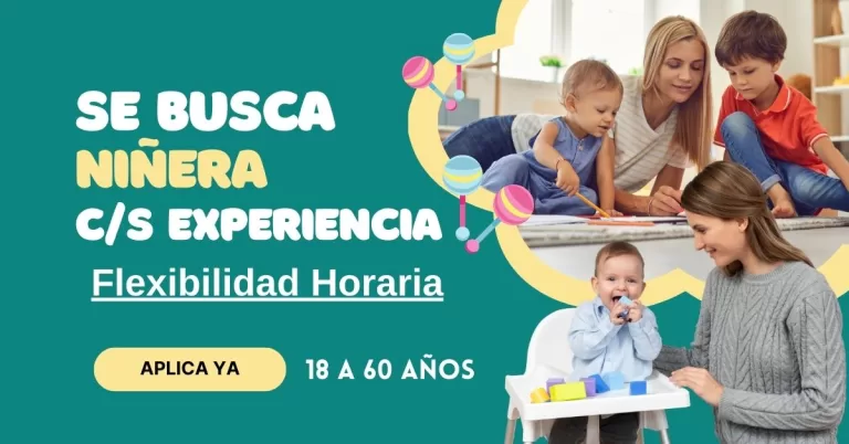 Se busca niñera